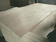 Good quality commercial plywood okoume plywood for furniture or decoration