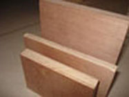 bintangor f/b,combi core melamine glue plywood