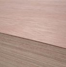 okoume f/b,poplar core wbp glue plywood