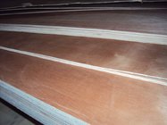 okoume f/b,poplar core e1 glue plywood
