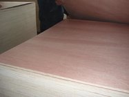 okoume f/b,poplar core e0 glue plywood