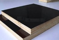 film faced plywood black film mr glue