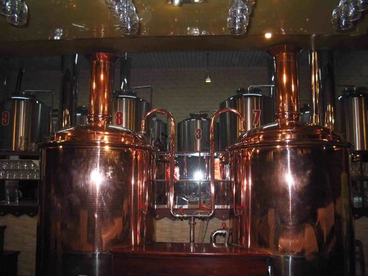 CG-1000L craft beer equipment for micro brewery