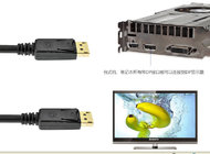 DisplayPort to DisplayPort cable, DP to DP cable for Computer/ Projector