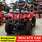 Small beach motorcycle off-road go kart electric powered UTV