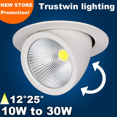 China Adjustable super bright 20W White 360 degree rotatable COB LED spot trunk light supplier