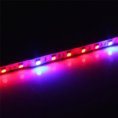 China red and blue 12w led strip grow light 60leds/m dc12v led indoor grow light for Green House supplier