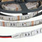 red and blue 12w led strip grow light 60leds/m dc12v led indoor grow light for Green House supplier