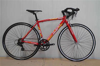 Made in China cheap steel 540mm frame 700c thin tube road bicycle/bicicle with Shimano 14 speed