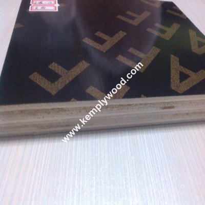 Linyi best price 9mm 12mm 15mm 18mm 21mm WBP glue brown black film faced plywood(marine plywood)