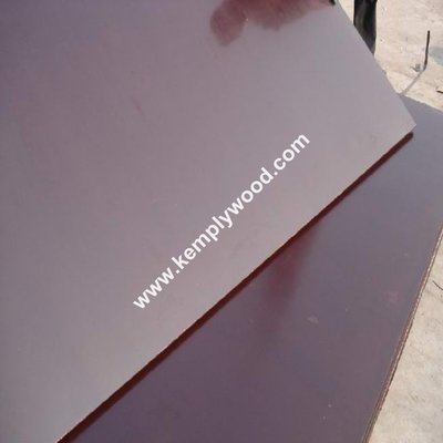 18MM brown film faced plywood, phenolic & wbp brown film faced plywood,brown film faced plywood made in linyi