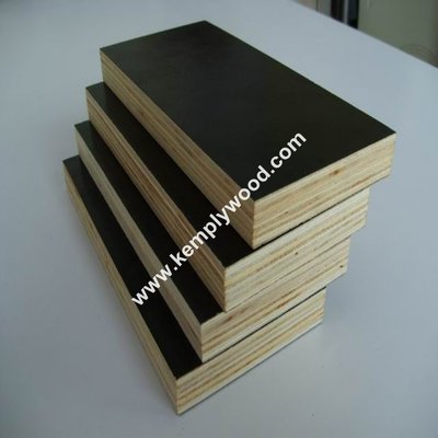 The best price film faced plywood/marine plywood/ formwork plywood manufacturer