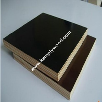 Construction Film Faced Plywood WBP / Marine/Recycle Plywood (Poplar, Combi, Birch Core)