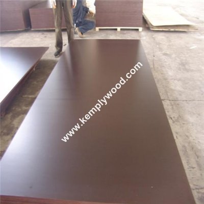 High Quality,Best Price 9mm, 12mm,15mm,18mm,21mm Black and Brown Film Faced Plywood/Shuttering plywood Manufacturer