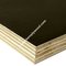 Two times hot press combi core 15times usage brown film faced plywood