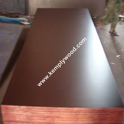 Two times hot press combi core 15times usage brown film faced plywood,two times hot pressed shuttering plywood