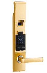 China Delux high-end security access touch screen digital smart fingerprint condo lock supplier