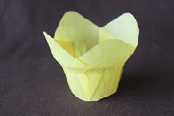 Hot yellow,baby blue cake tulip cup