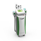 Best cellulite removal machine for weight loss cryolip,5 in one multifunctional cryolipolysis machine for spa/clinic use