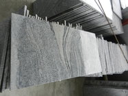 China Juparana Granite Tiles/Slabs for Flooring/Wall Tiles/Countertops