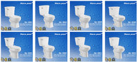 Sanitary Ware S-Trap Siphonic Ceramic Two Piece Toilets (DL-051)