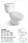 Sanitary Ware Ceramic Two Piece Toilets with Siphonic S-Trap (DL-055)