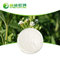 Health sweetener stevia sugar natural stevia leaf extract stevioside supplier