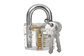 GOSO 24 Piece Premium Titanium Lock Pick Tool Set Transparent Practice Padlock Bundle supplier