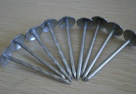 Umbrella head roofing nails from China