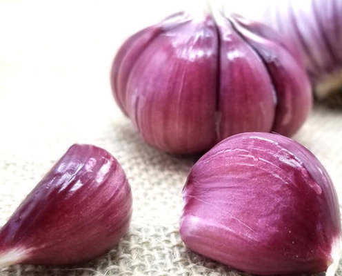 China Onion Sales Are Under Tremendous Pressure supplier