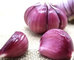 Onion Sales Are Under Tremendous Pressure supplier