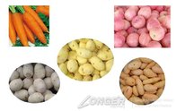 Brush Type Stainless Steel Potato/Carrot/Onion/Cassava Washing Peeling Machine