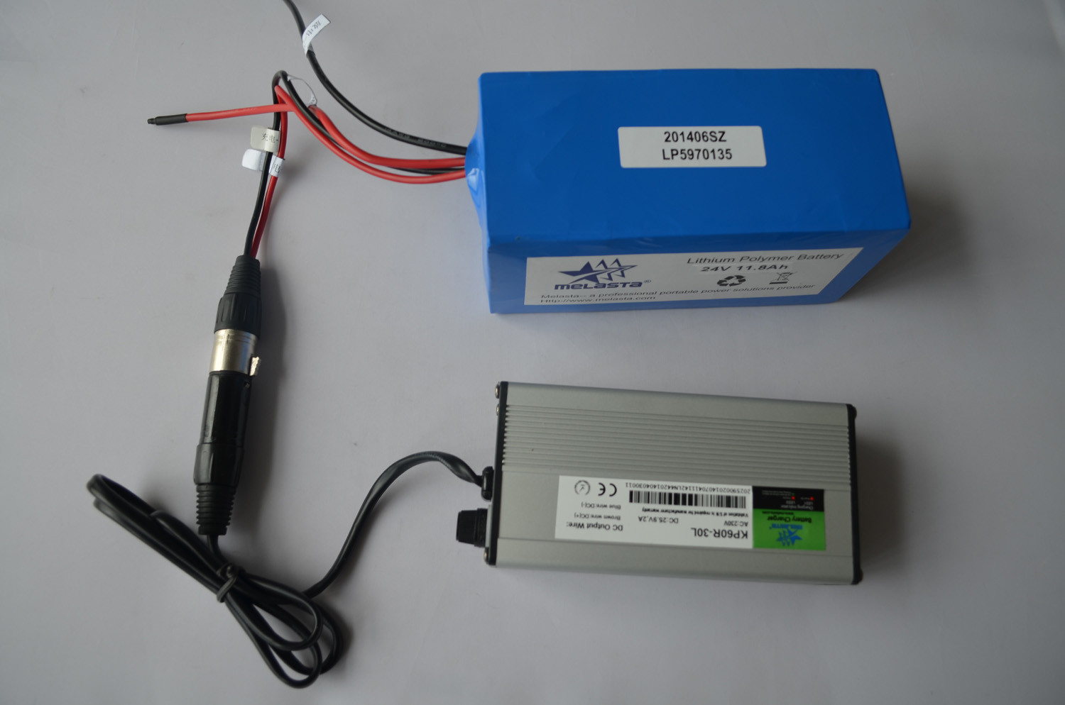 24V 12.8ah LiPo Battery Pack E-Bike Battery with PCM Melasta CE (LP5970135-7S2P)