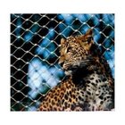 High Tensile Stainless steel X-Tend Zoo Animal Enclosure Fence Mesh