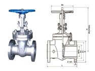 High pressure casting steel WCB dn80 gate valve a216 wcb