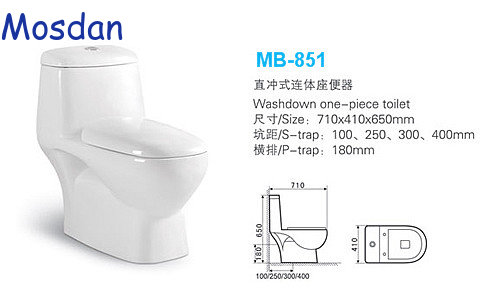 Sanitary ware washdown one piece toilet for Middle East toilet market MB-851