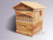 original beekeeping equipment desigher AUTOMATIC langstroth plastic honey flow Frame