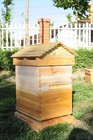 Auto Flow Frame for Honey Comb Langstroth Beehive Harvesting honey self outflow Bee Hive Frame