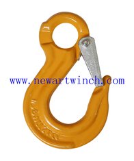 China G80 Eye Sling Hook With Latch supplier