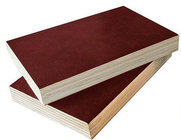 Good quality Film Faced Plywood/marine plywood/shuttering plywood at competitive price