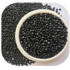 Supply competitive price black filler masterbatch for plastic product color  masterbatch