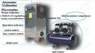 10g oxygen source electrolytic water ozone generator for swimming pool sterilization