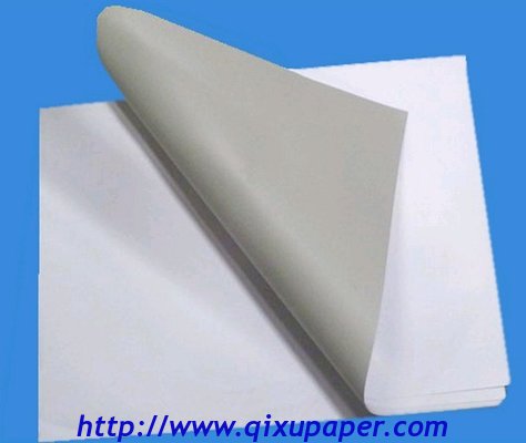 Coated Duplex board Grey back Sheets Reels Woodfree Paper manufacturer Suppler