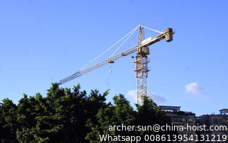 China Brand New QTZ80 series TC 6010  Tower Crane Peng Cheng Brand with remote control and black box supplier