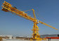 QTZ80 6010  Tower Crane jib length can be customized,with additional remote control device supplier