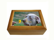 Good Quality Luxury High Gloss Inlaid Wooden Keepsake Box with Key, Wood Pet Keepsake Urn Box, Small Order Supported