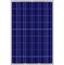 22.5KG 300W Commercial Solar Panels 1950 X 990 X 45 mm IP65 For Solar Water Pump
