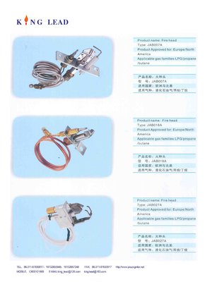 ODS;flame failure device;thermocouples;BBQ valve