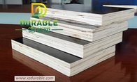 High quality 1220*2440*12mm Brown Film Faced Plywood  competitive price phenolic plywood
