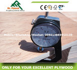Cheap Plywood,Linyi Plywood,Bintangor Plywood,Commercial Plywood
